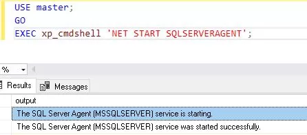 SQL Server Agent service has started successfully
