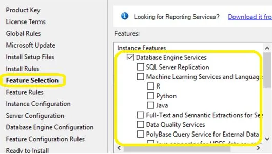 SQL Server 2019 Feature Selection