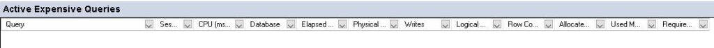 Active Expensive Queries Section Of Activity Monitor