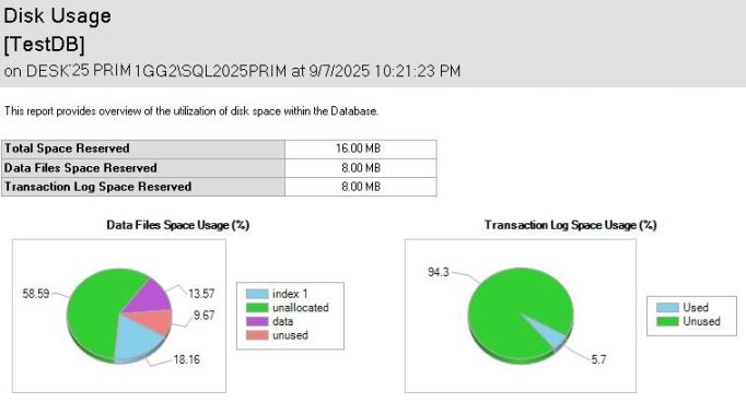 Disk Usage Report